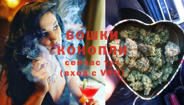 хмурый Дмитровск