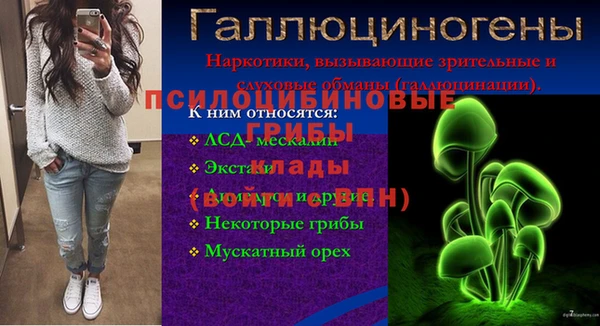 ALPHA-PVP Дмитриев