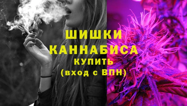 хмурый Дмитровск