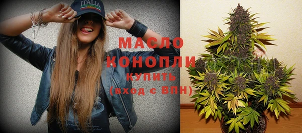 хмурый Дмитровск
