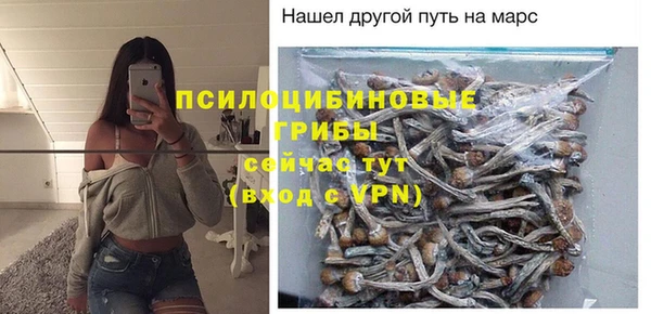 ALPHA-PVP Дмитриев