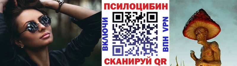 Псилоцибиновые грибы Psilocybe  Обь 